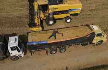 Paraná tem maior aumento do País na estimativa de produção de grãos em novembro